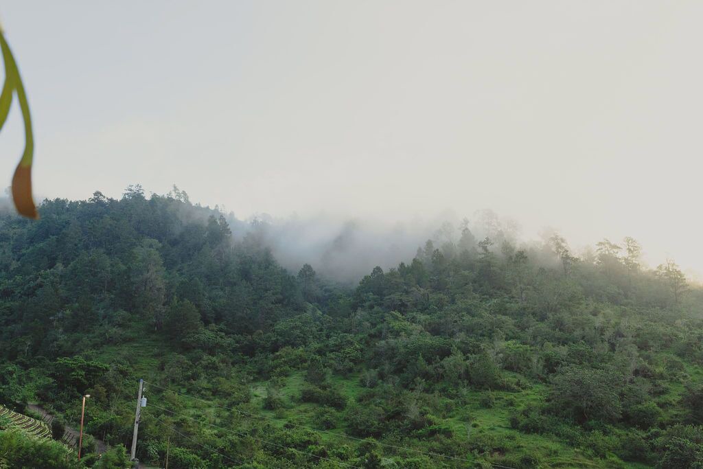 Photo of Others in Constanza