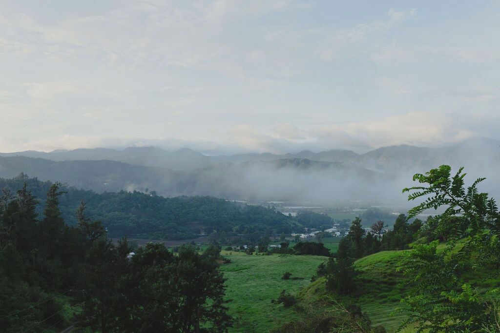 Photo of Others in Constanza