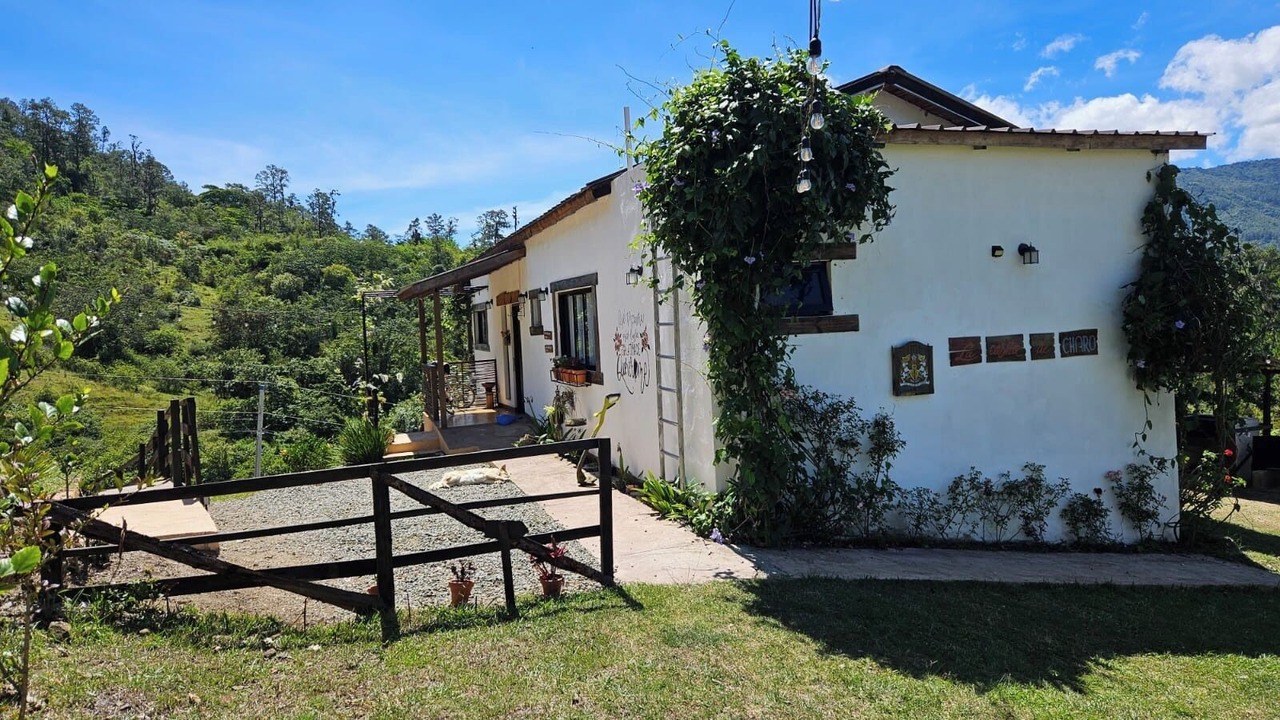 Photo of Outdoor in Constanza