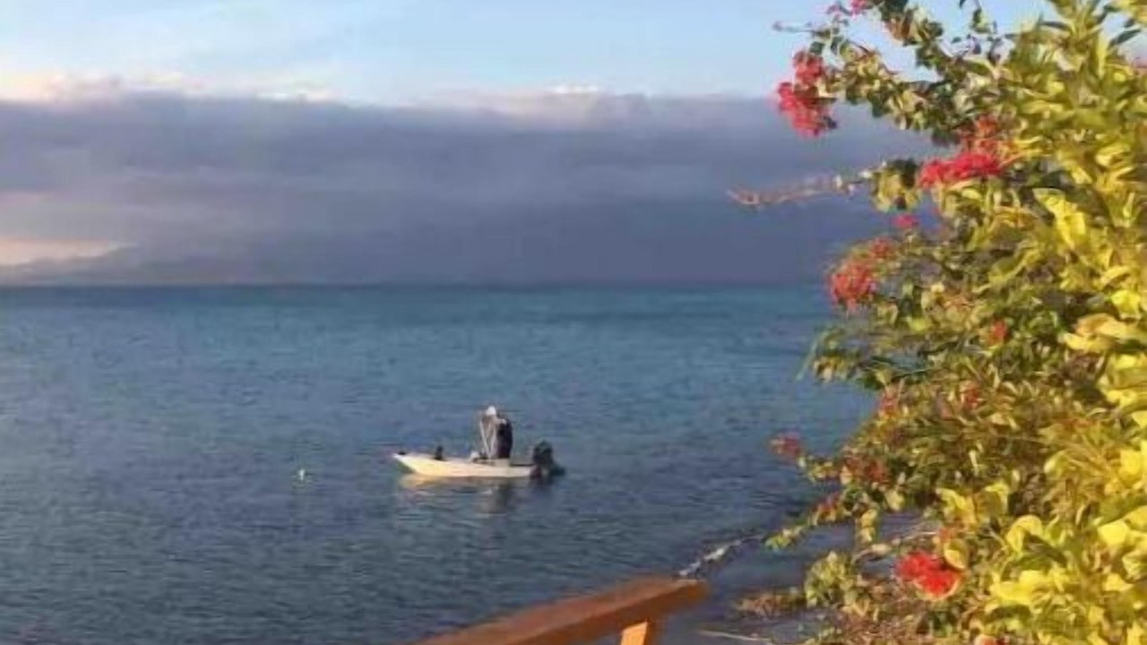 Photo of Outdoor in Palmar de Ocoa