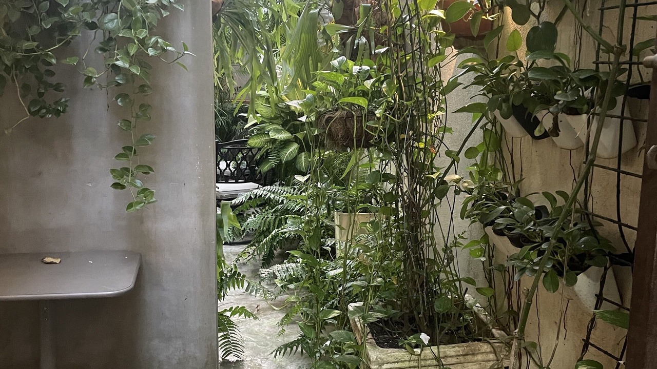 Photo of Outdoor in Yolanda Morales
