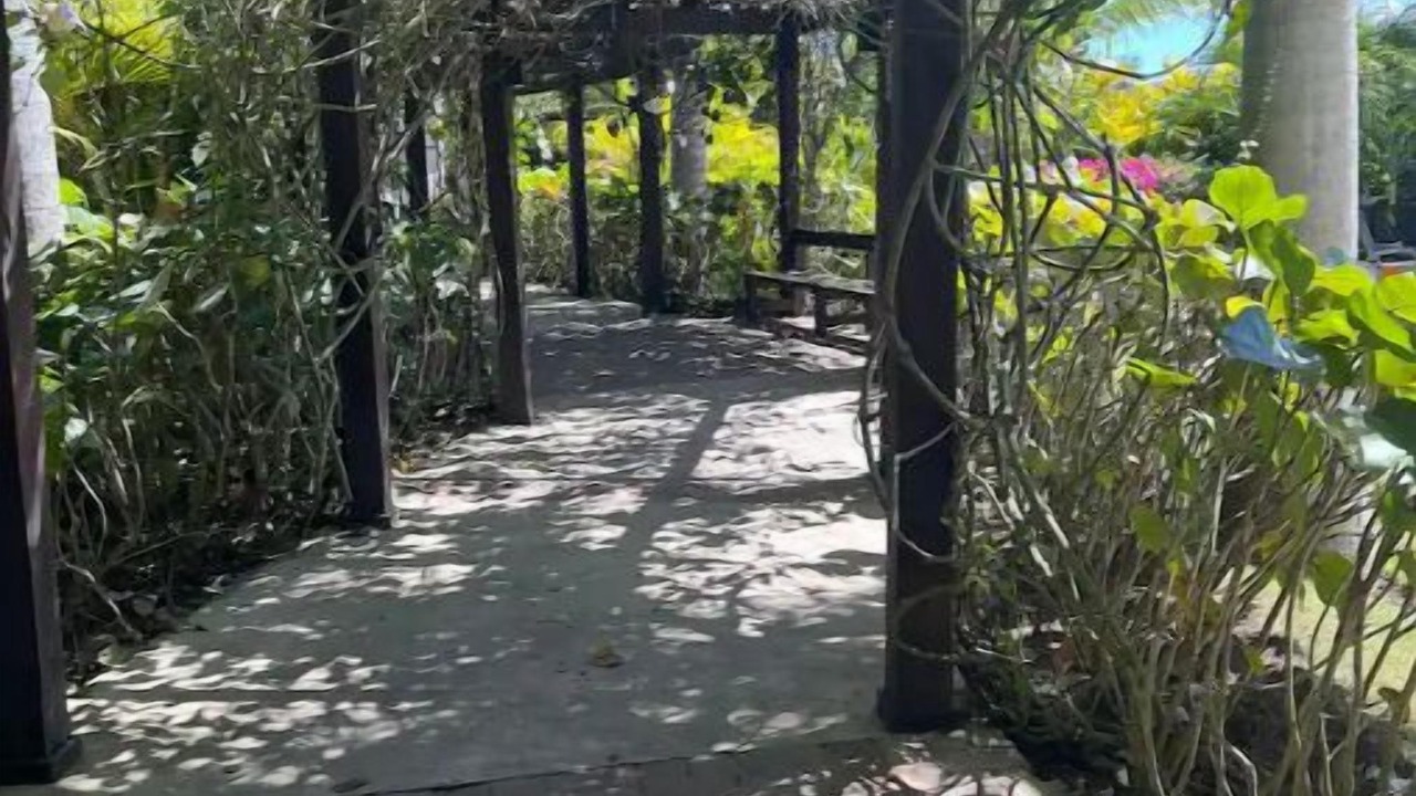Photo of Outdoor in Cerro Alto