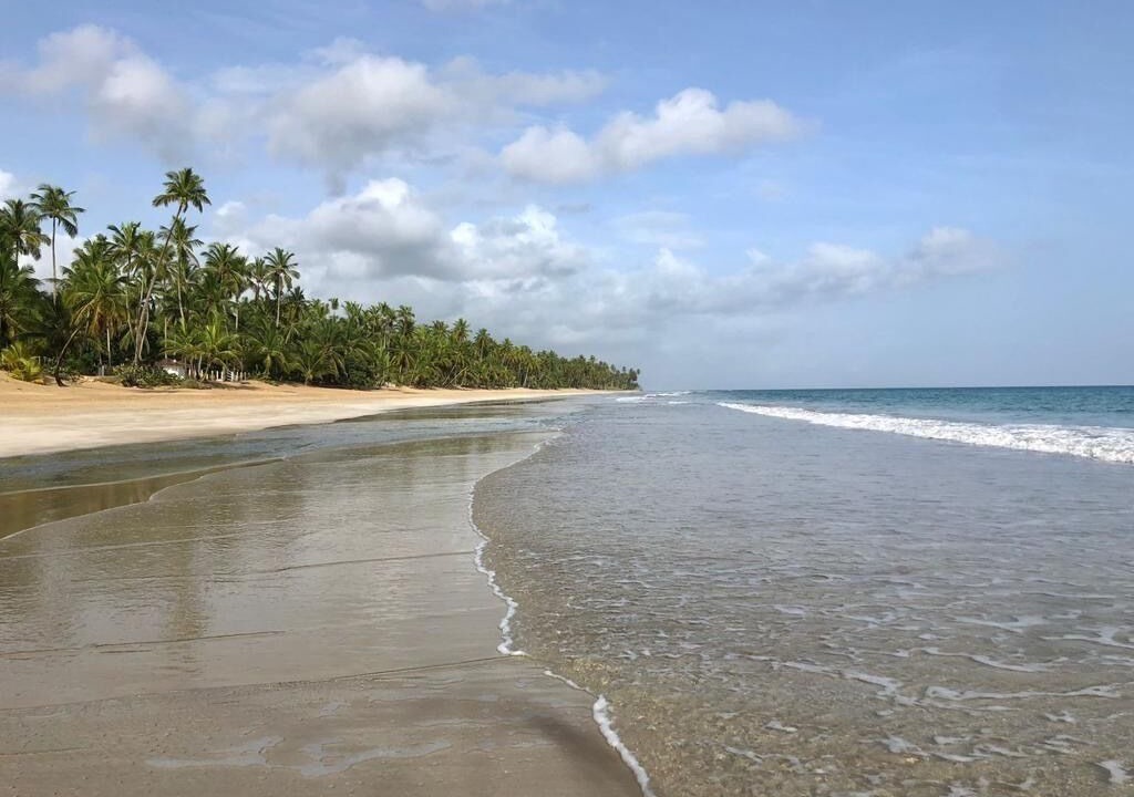 Photo of Others in Las Terrenas