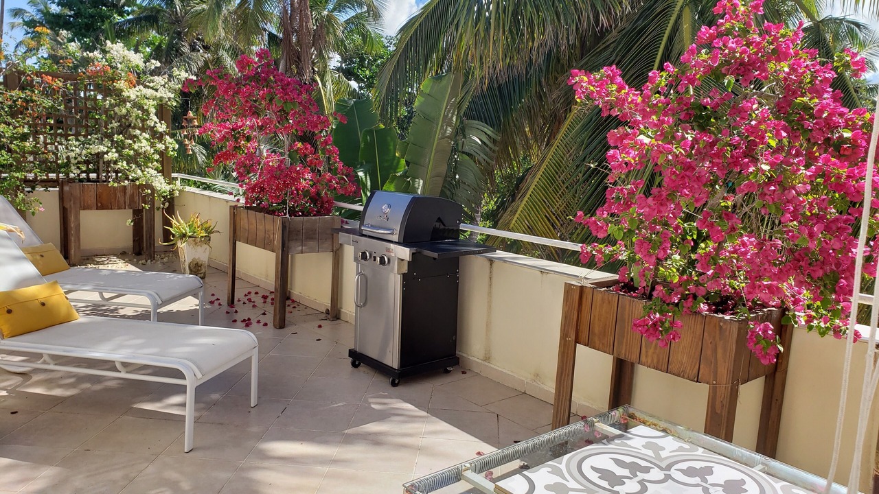Photo of Outdoor in La Iglesia