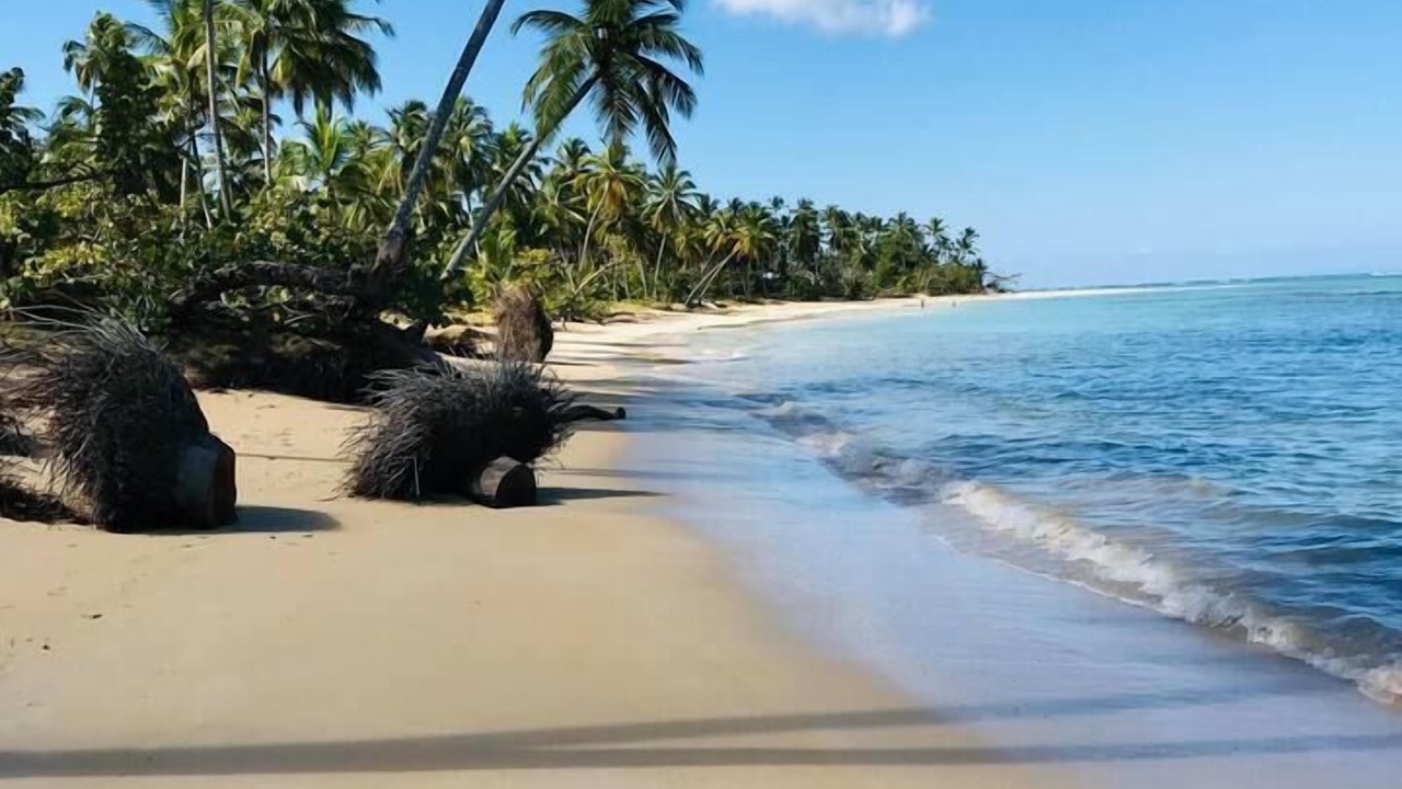 Photo of Others in Las Terrenas