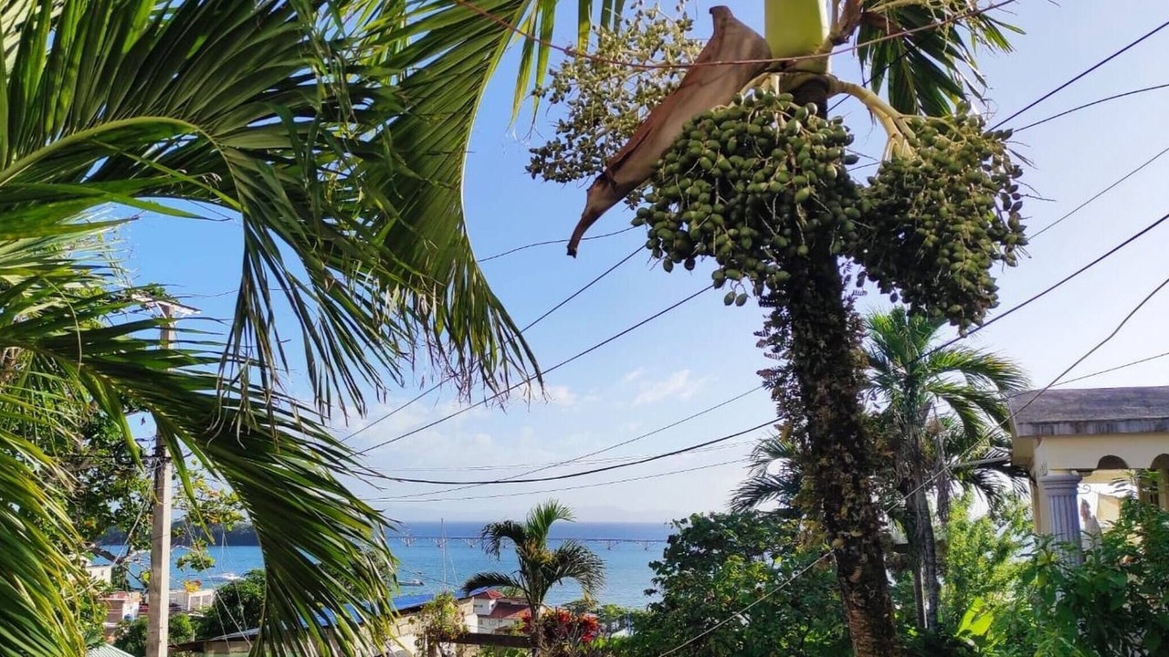 Photo of Outdoor in Barrio La Fortaleza Vieja