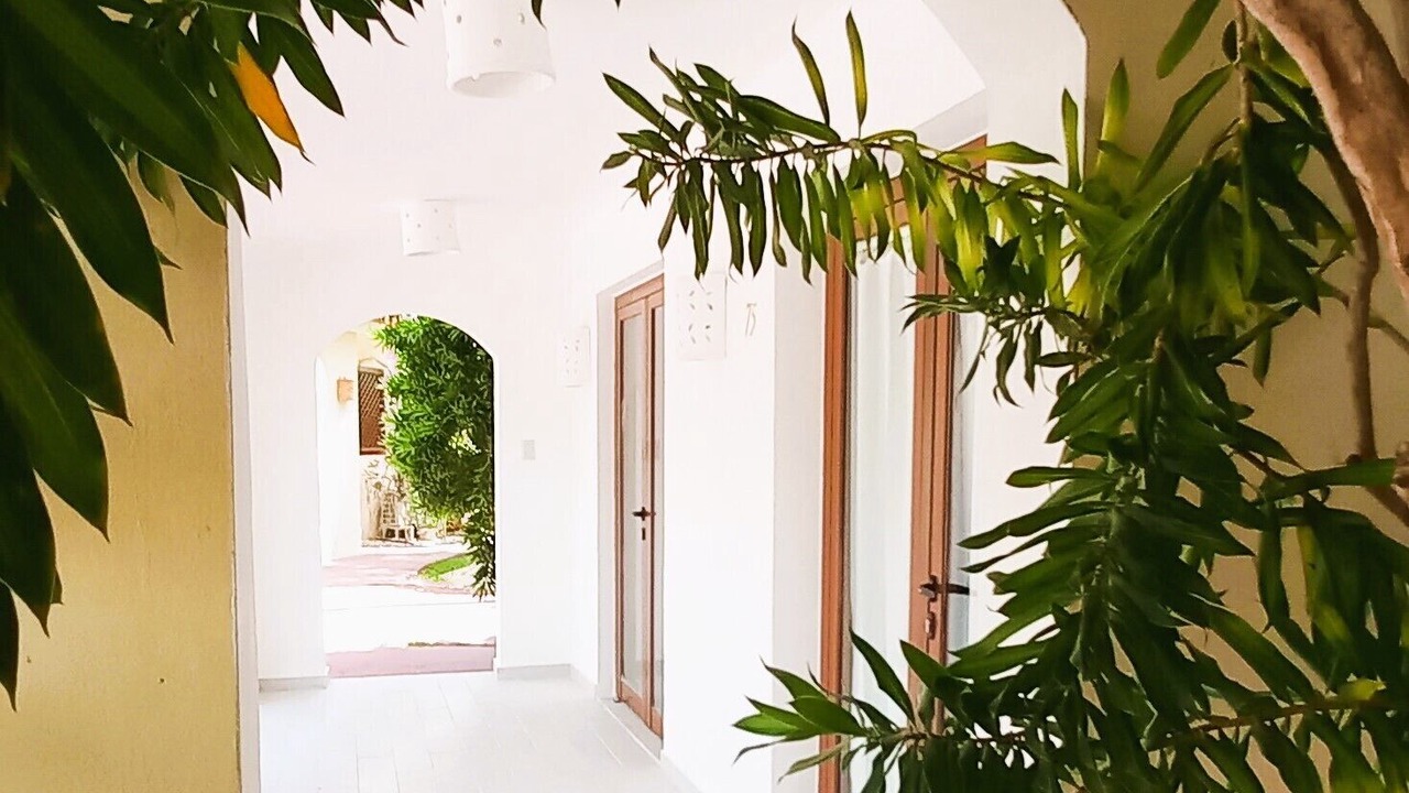 Photo of Outdoor in Bavaro