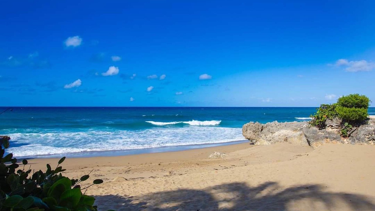 Photo of Others in Playa Chiquita
