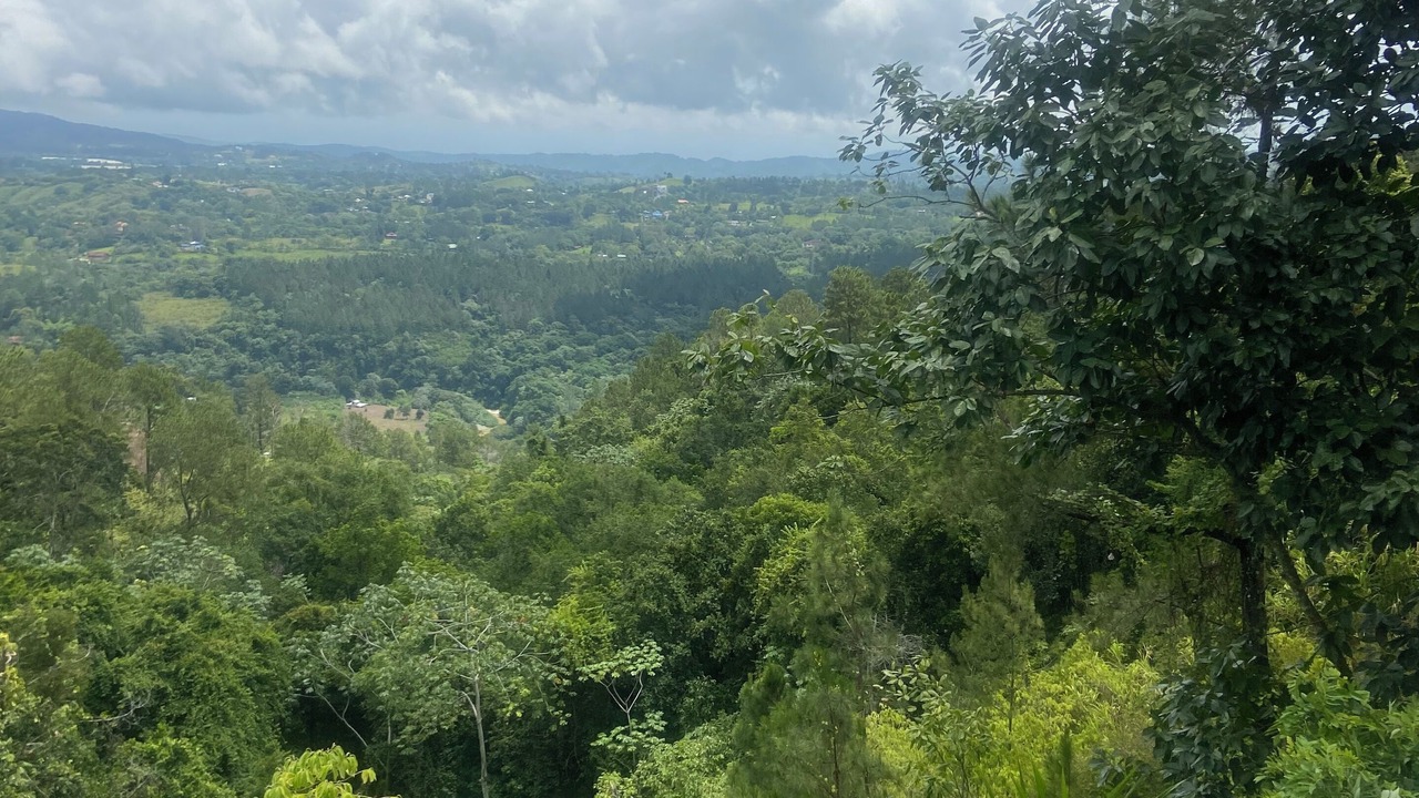 Photo of Outdoor in Paso Bajito