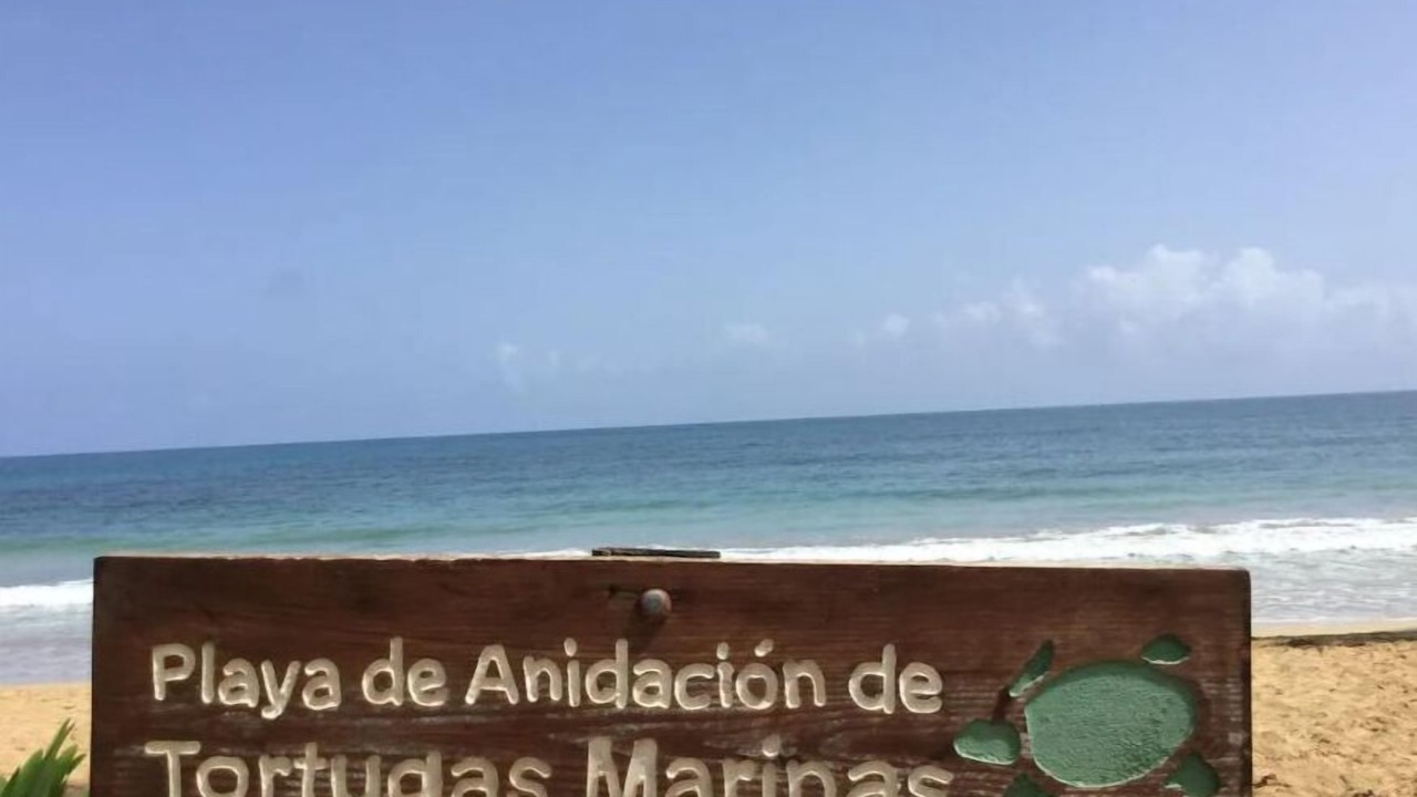 Photo of Others in La Ceiba