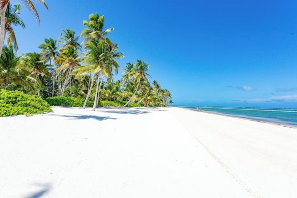 Photo of Others in Punta Cana