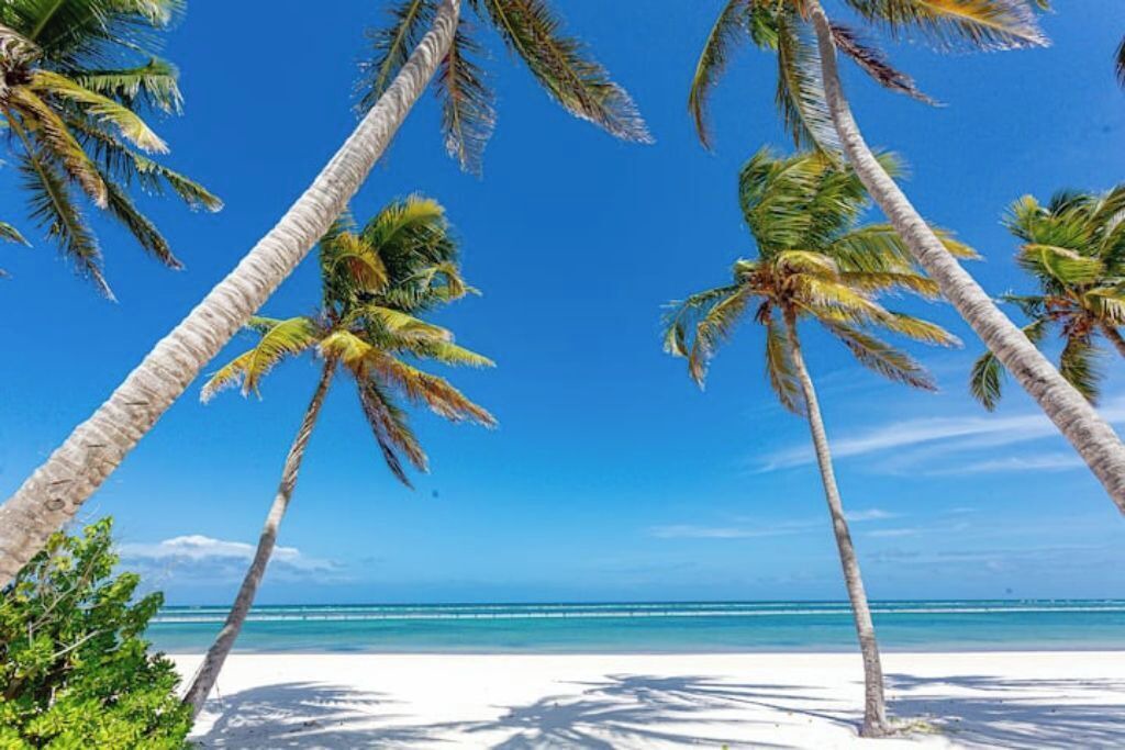 Photo of Others in Punta Cana