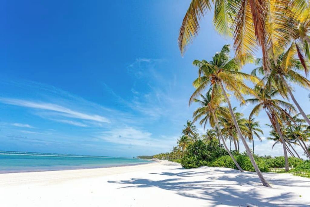 Photo of Others in Punta Cana