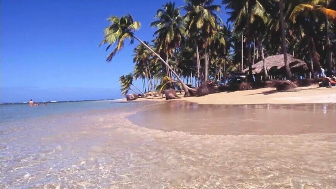 Photo of Others in Puerto Bahia