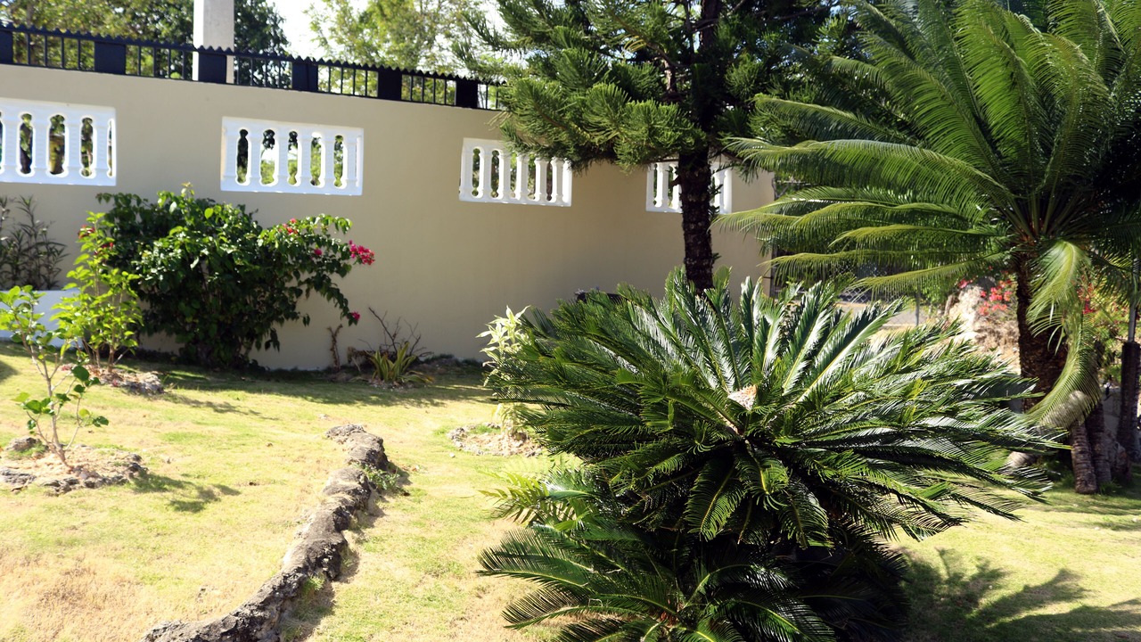 Photo of Outdoor in Cabrera