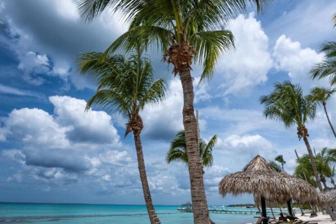 Photo of Others in Dominicus