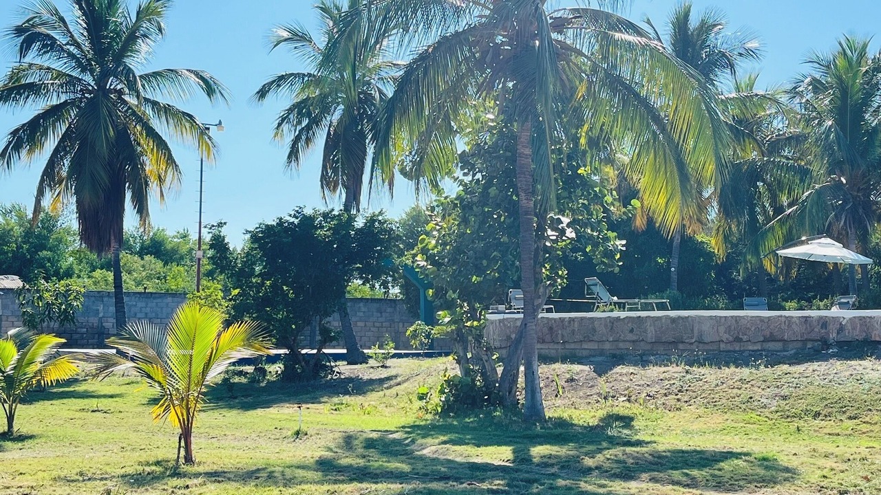 Photo of Outdoor in Palmar de Ocoa