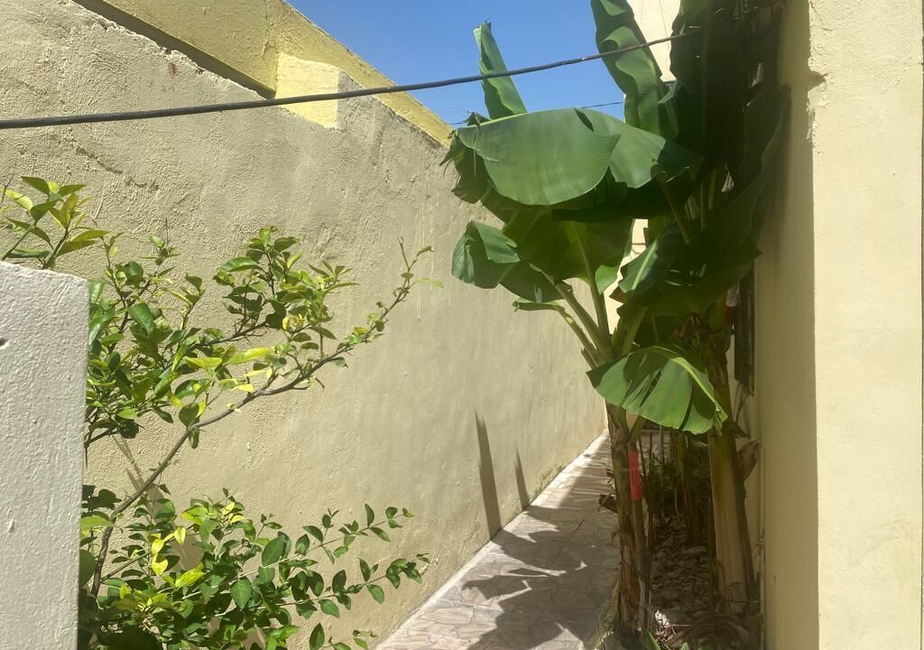 Photo of Outdoor in Alma Rosa