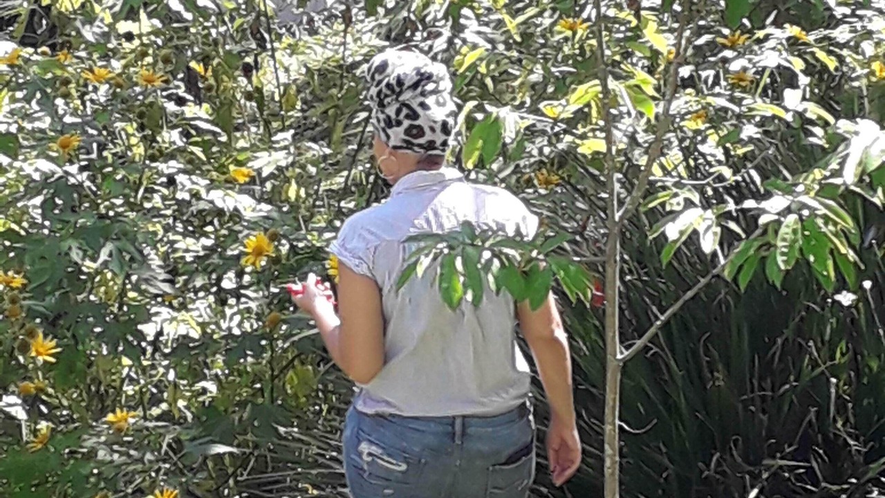 Photo of Outdoor in Jarabacoa