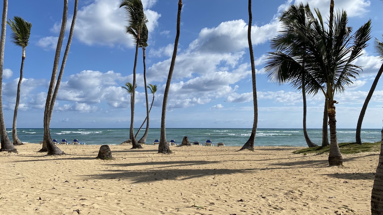 Photo of Others in Punta Cana