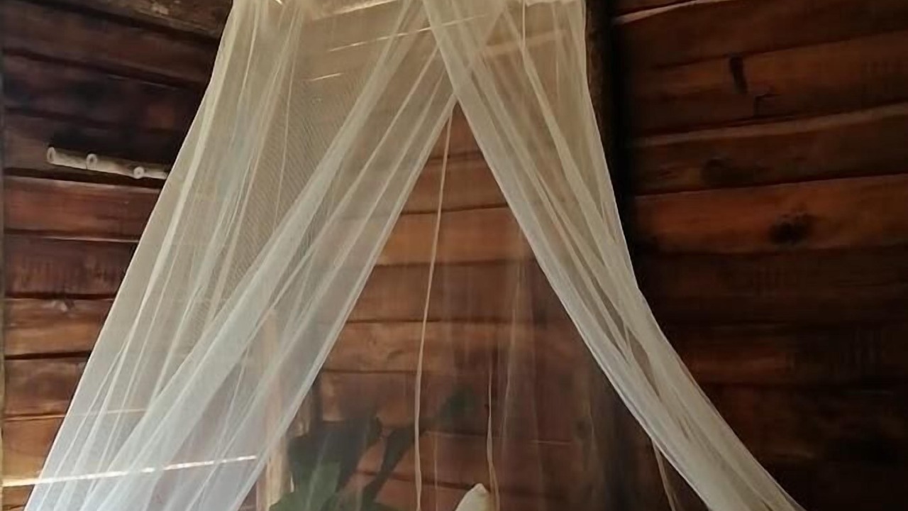 Photo of Bedroom in Samana