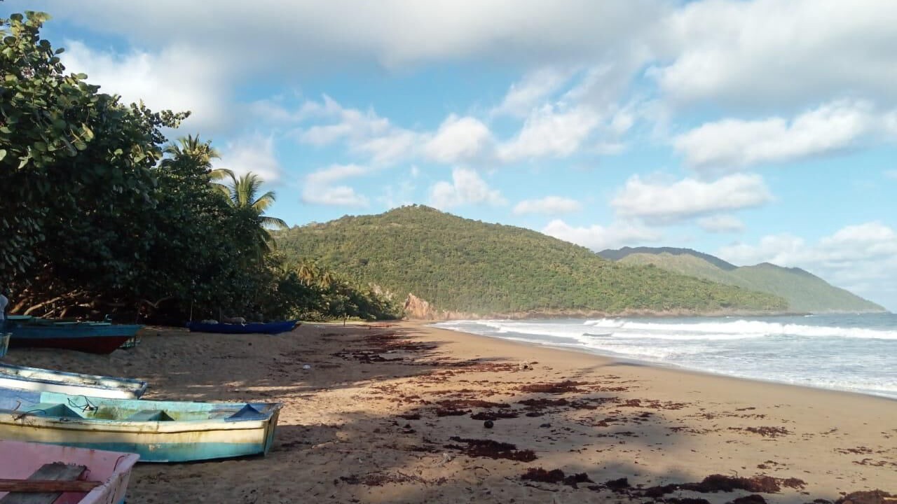 Photo of Others in Samana