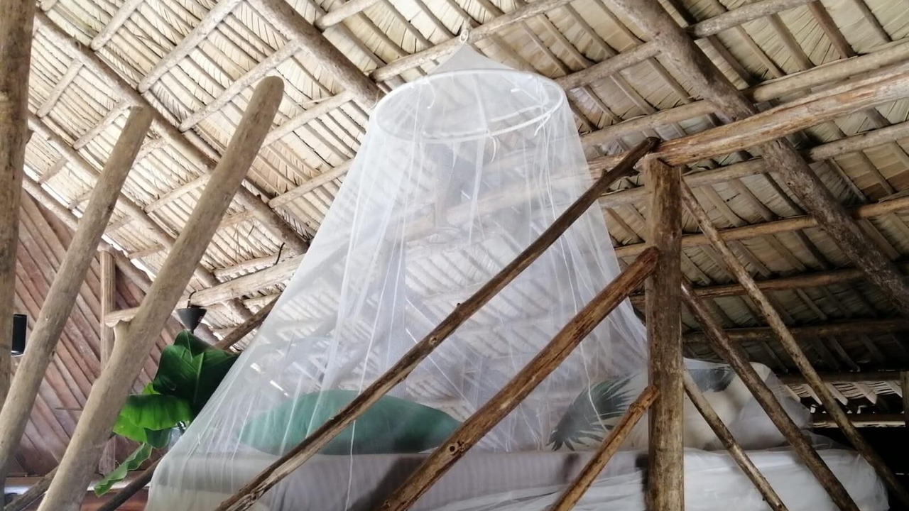 Photo of Bedroom in Samana