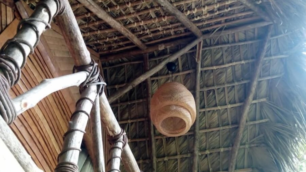 Photo of Outdoor in Samana