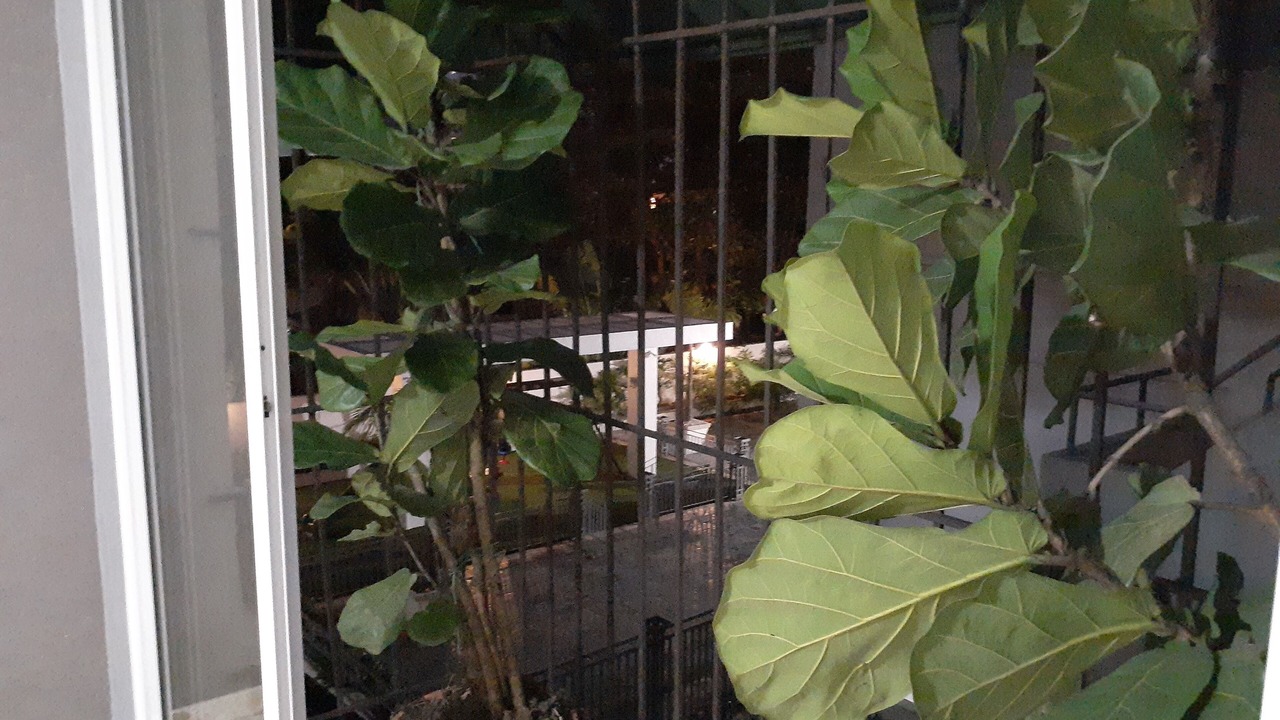 Photo of Outdoor in Yolanda Morales