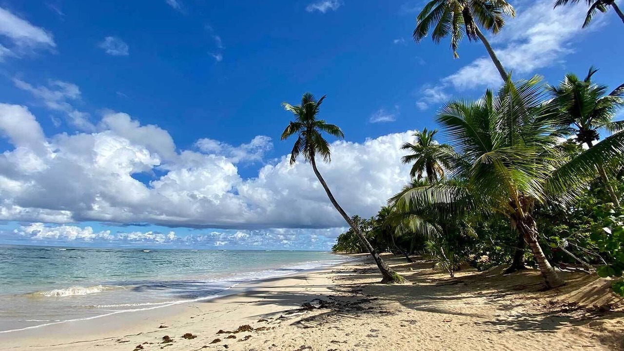Photo of Others in Las Terrenas
