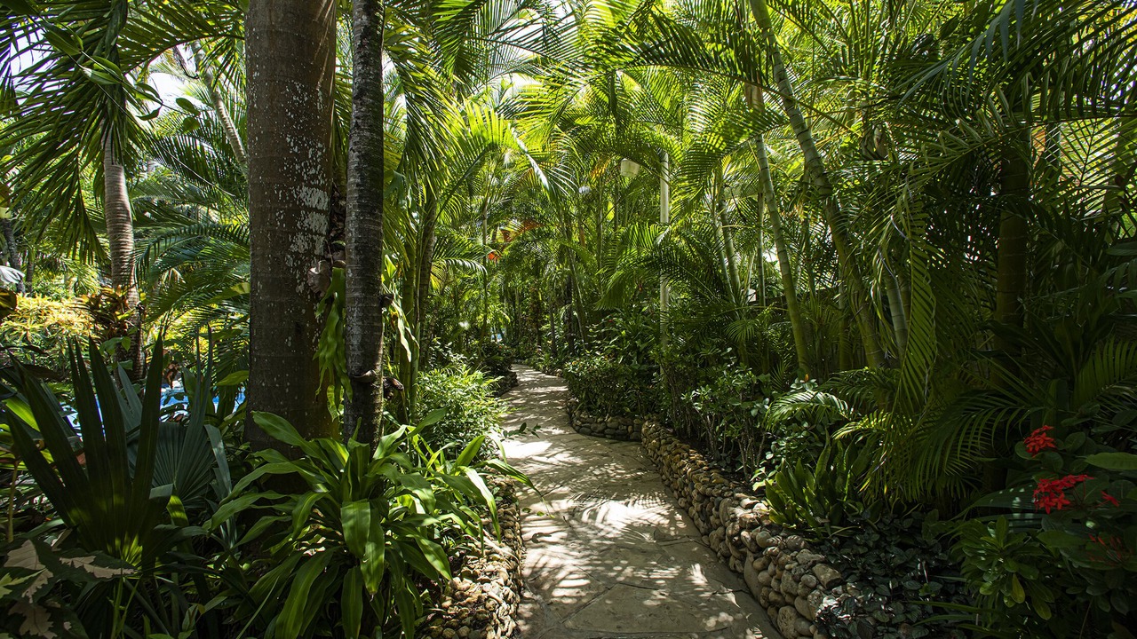Photo of Outdoor in Cabarete