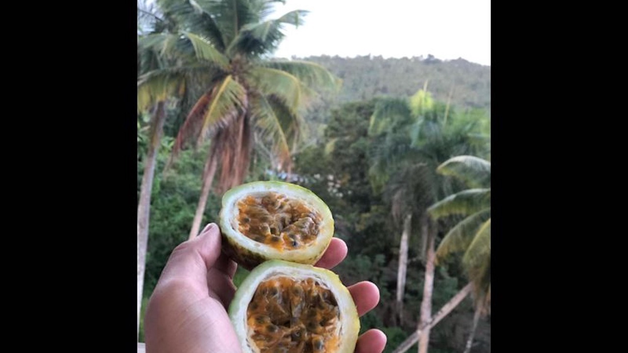 Photo of Others in Samana