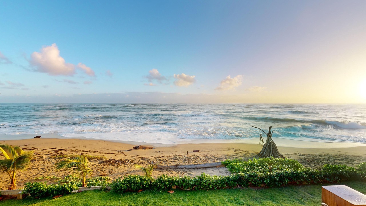 Photo of Others in Cabarete