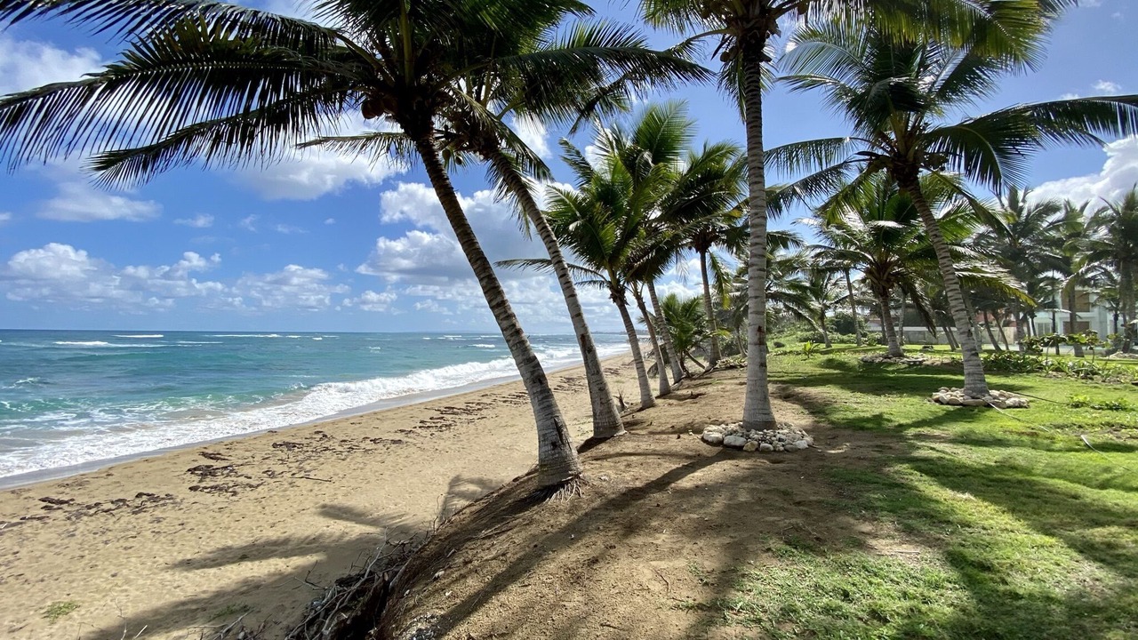 Photo of Others in Cabarete