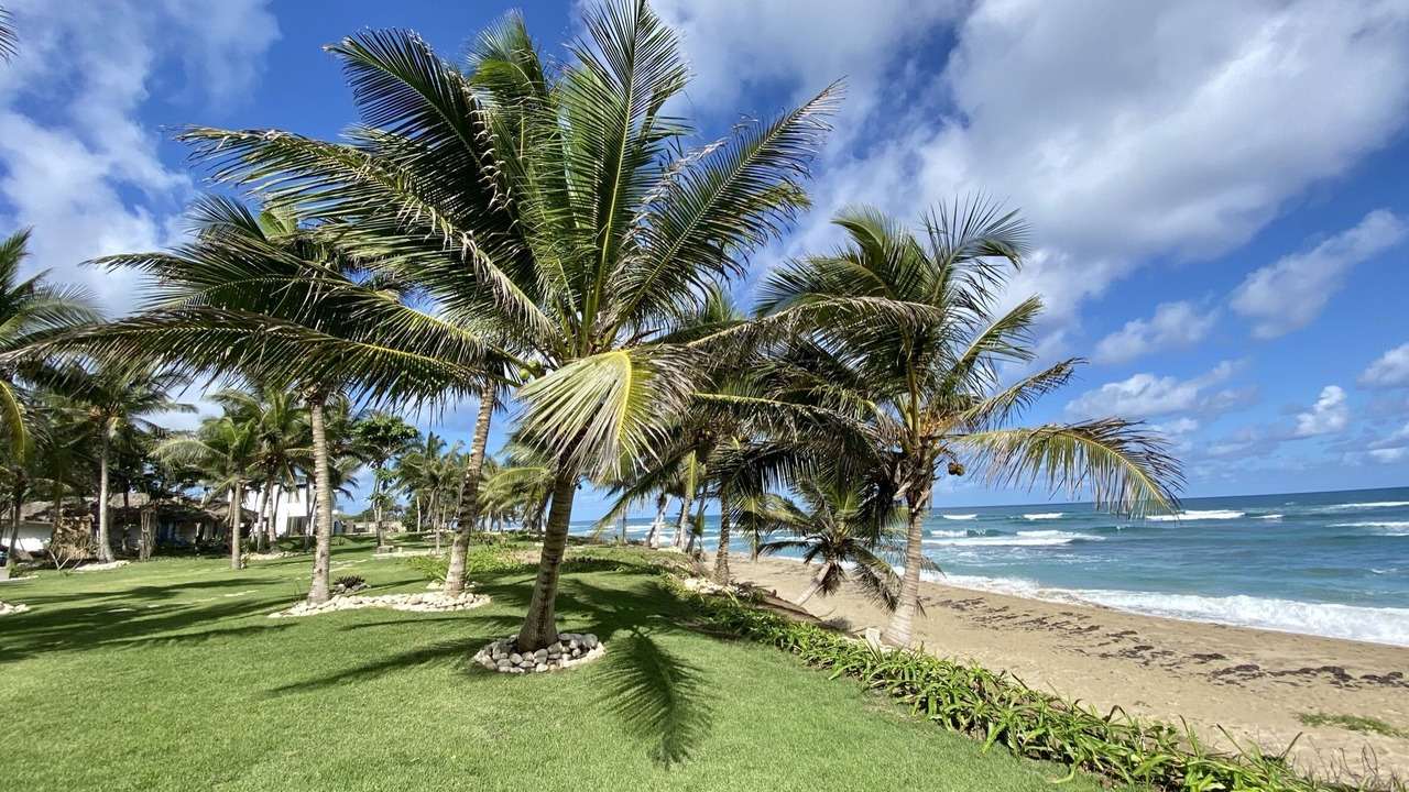 Photo of Others in Cabarete