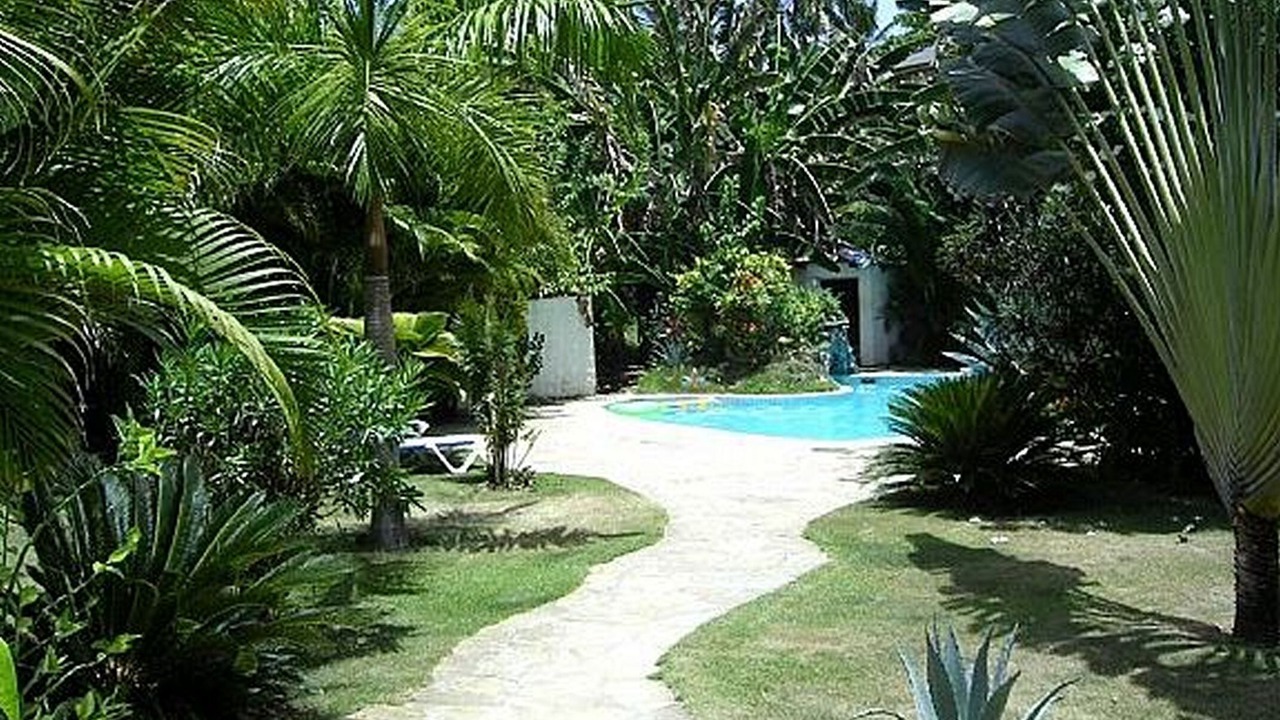 Photo of Outdoor in Cabarete