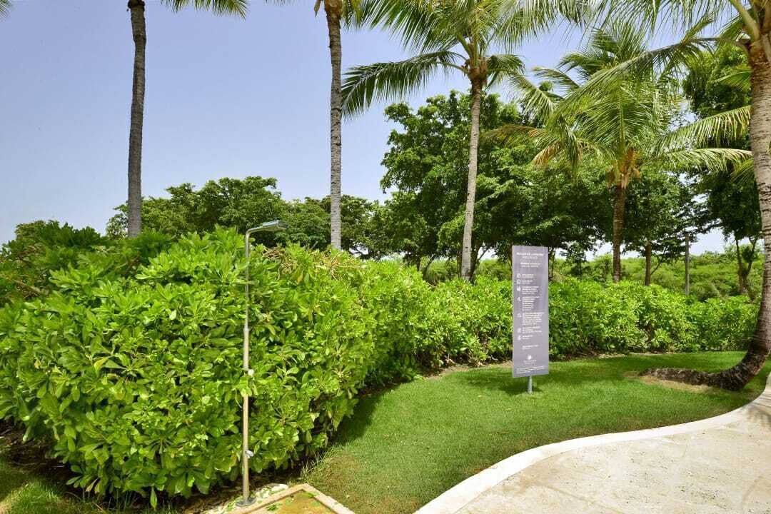 Photo of Others in Punta Cana
