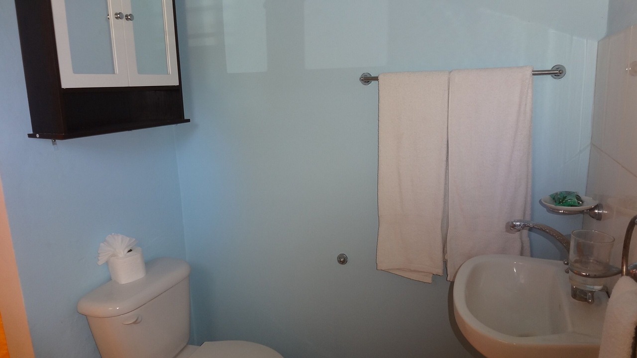 Photo of Bathroom in Cabarete