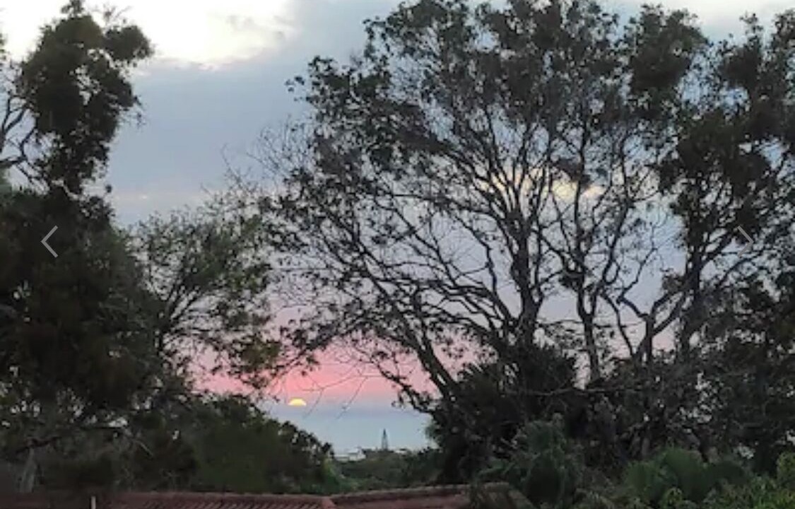 Photo of Outdoor in El Batey