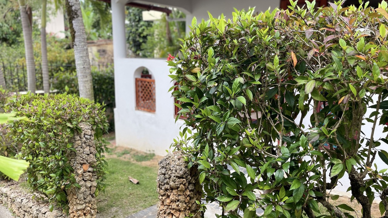 Photo of Outdoor in Puerto Bahia