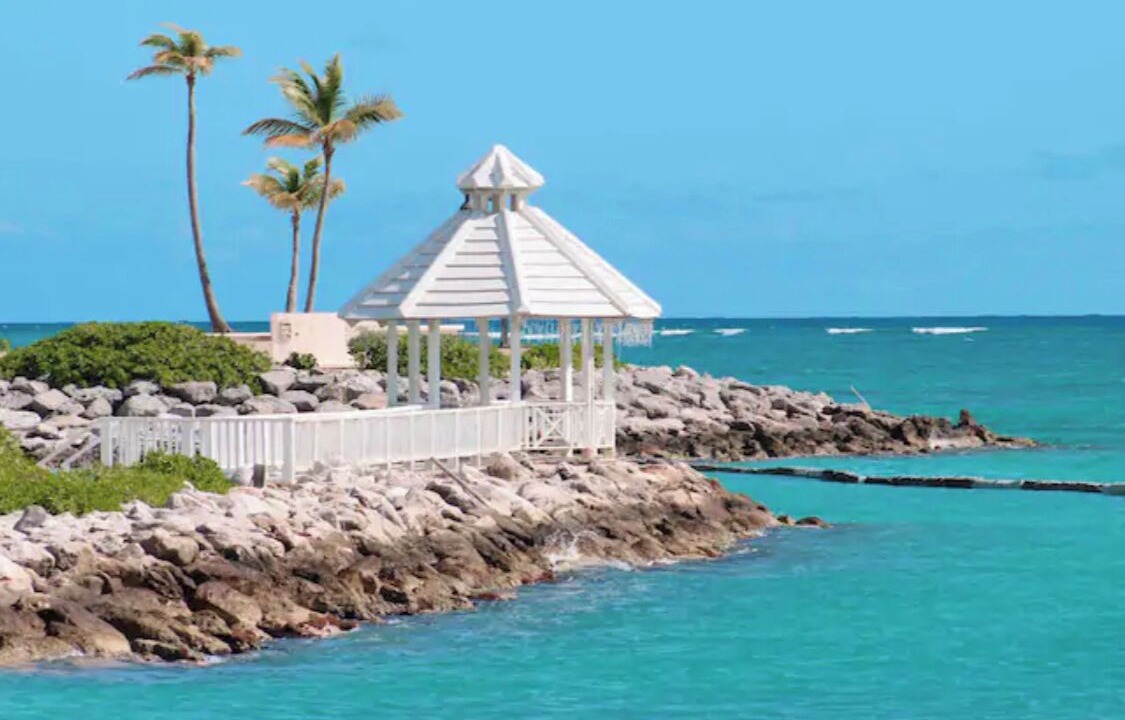 Photo of Others in Cap Cana Marina