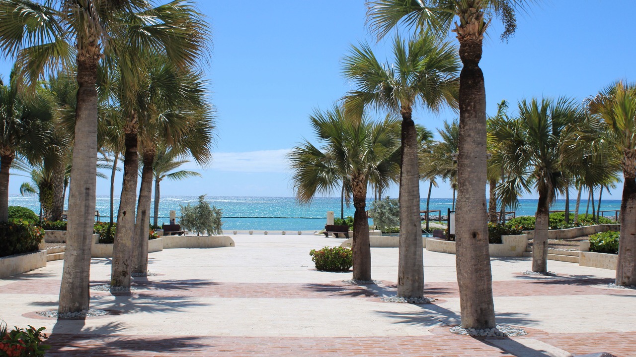 Photo of Outdoor in Cap Cana Marina