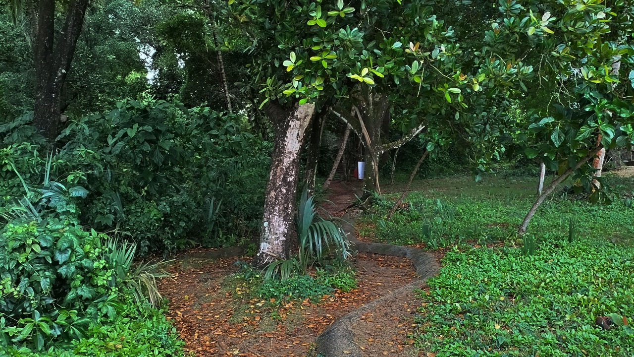 Photo of Others in Sosua