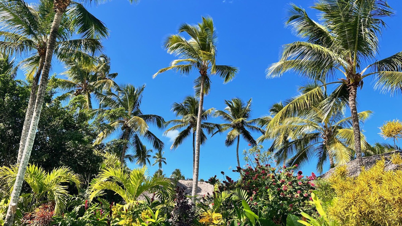 Photo of Others in Las Terrenas