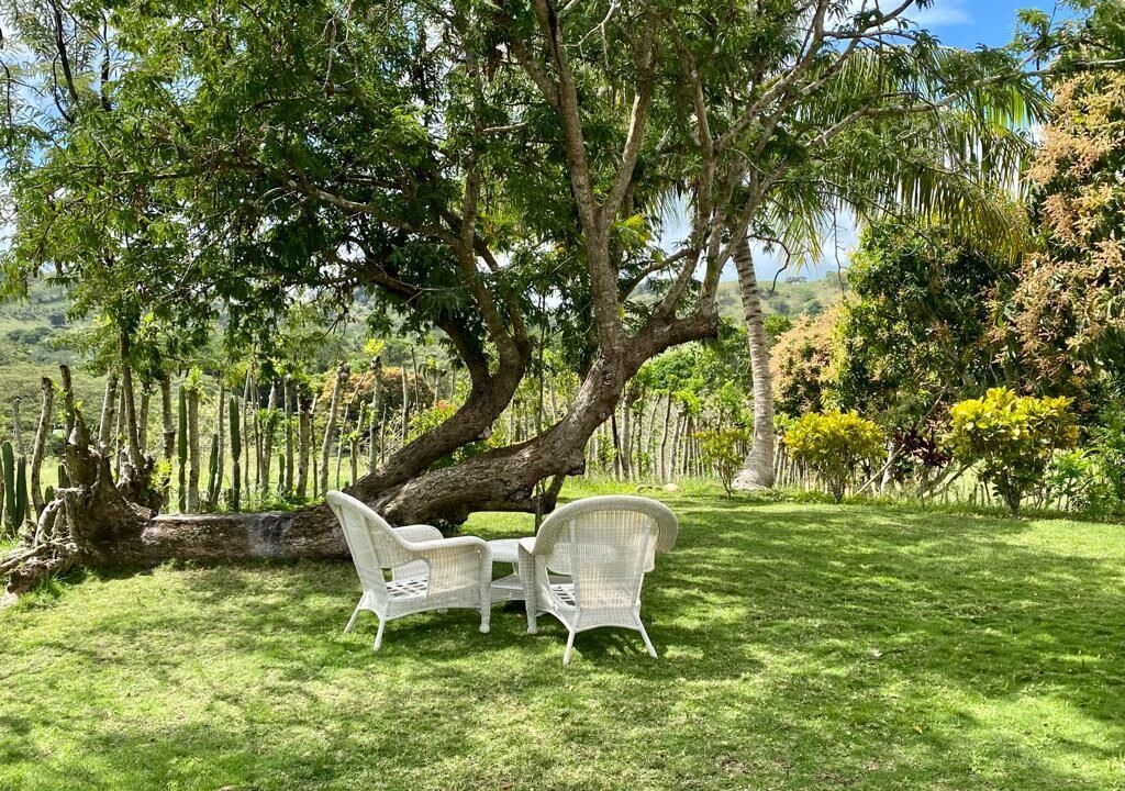 Photo of Outdoor in Santa Cruz del Seibo