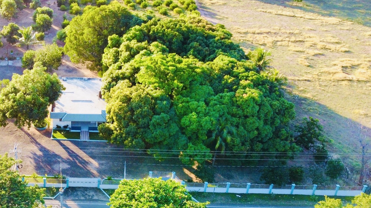 Photo of Outdoor in Dajabon