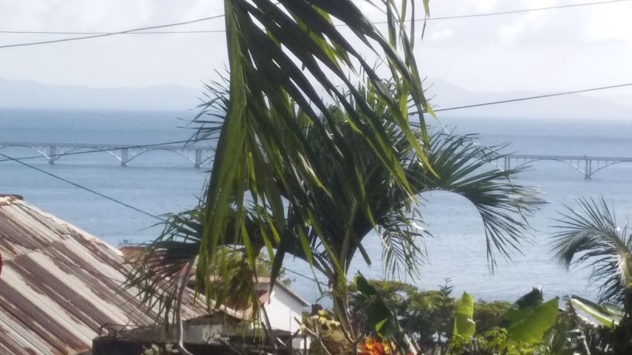 Photo of Outdoor in Barrio La Fortaleza Vieja