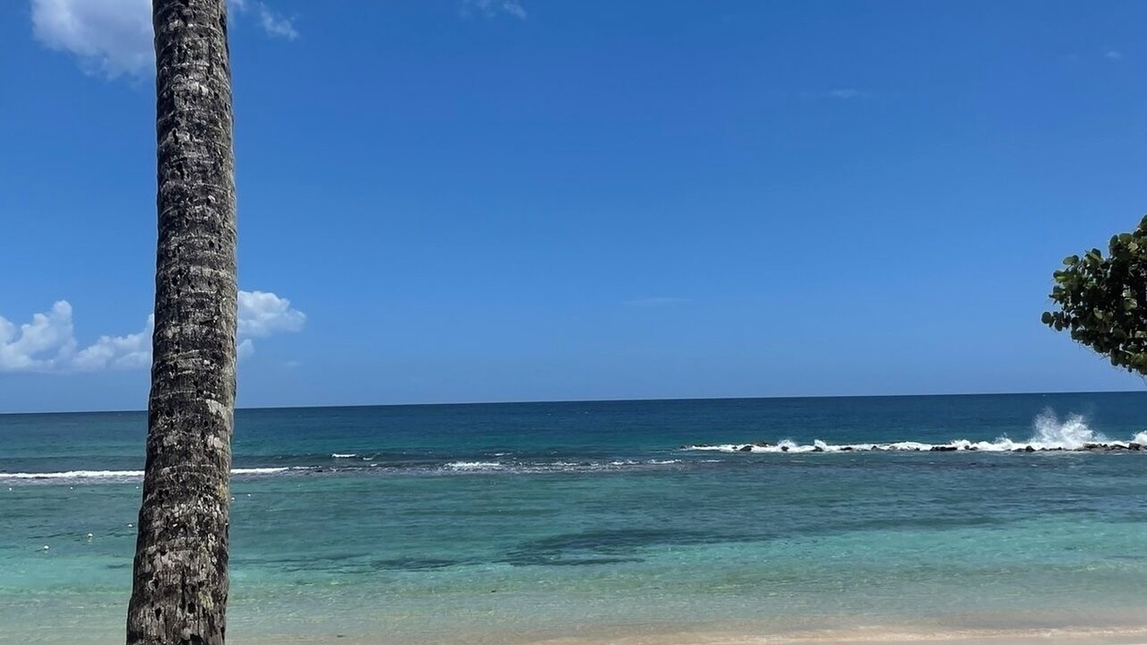 Photo of Others in Casa de Campo