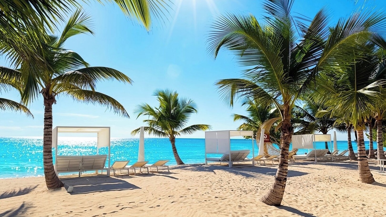 Photo of Others in Dominicus