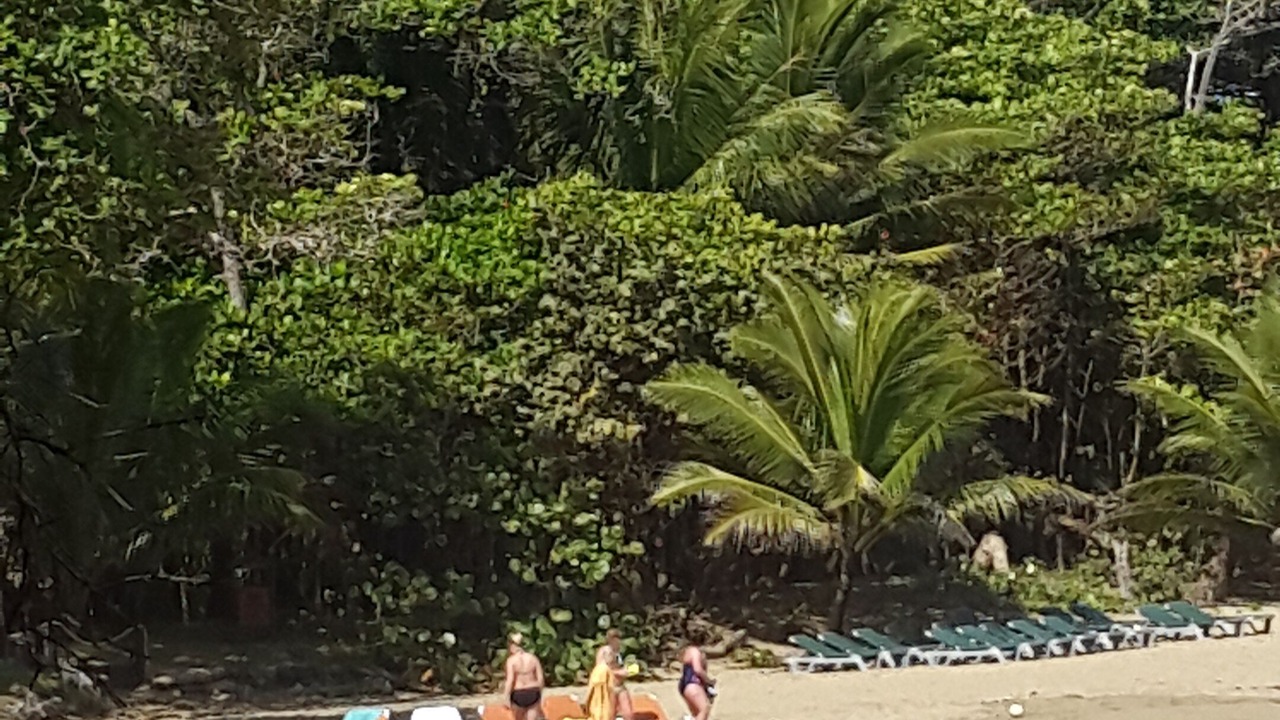 Photo of Others in Cabarete